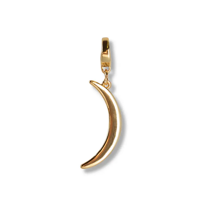 Crescent Moon Charm