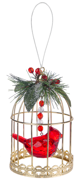 Birdcage Cardinal