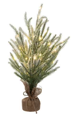 LED Light Up Frosted Pine in Burlap Bag